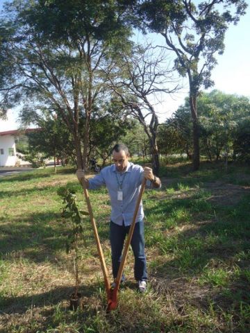 Quinta-Feira 07/04